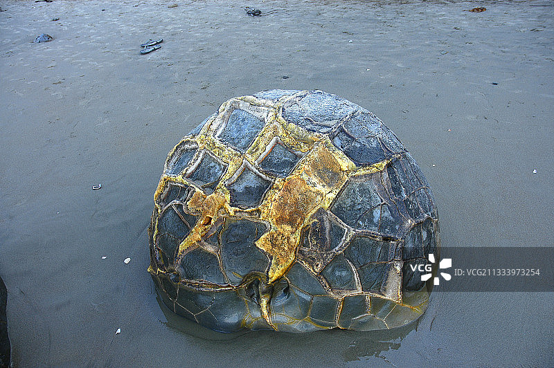 新西兰莫拉基巨石海滩上的半球形岩石图片素材