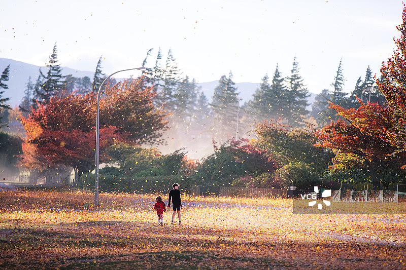 秋天树林落叶儿童图片素材