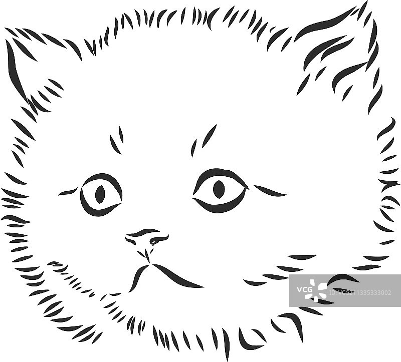 画一幅小猫宠物素描图片素材