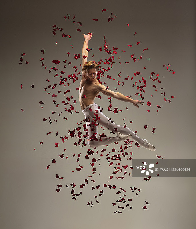 年轻优雅的芭蕾舞演员在玫瑰花瓣的背景下图片素材