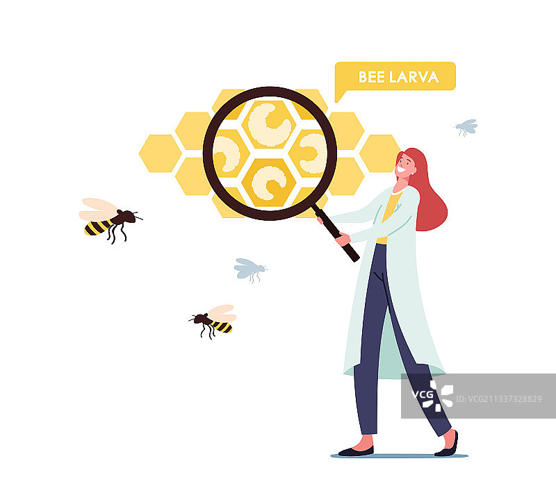 蜂房生物学概念小科学家图片素材