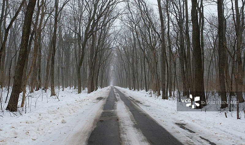 空旷的道路在森林里的树木在冬天图片素材
