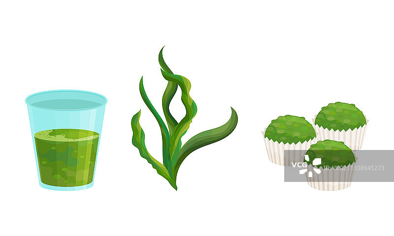 螺旋藻作为膳食补充剂和天然食品图片素材