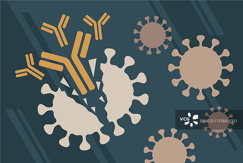 抗体免疫系统海报图片素材