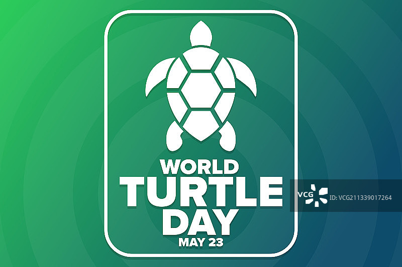 世界海龟日5月23日假日概念图片素材
