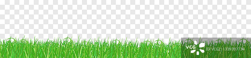 草孤立透明背景图片素材