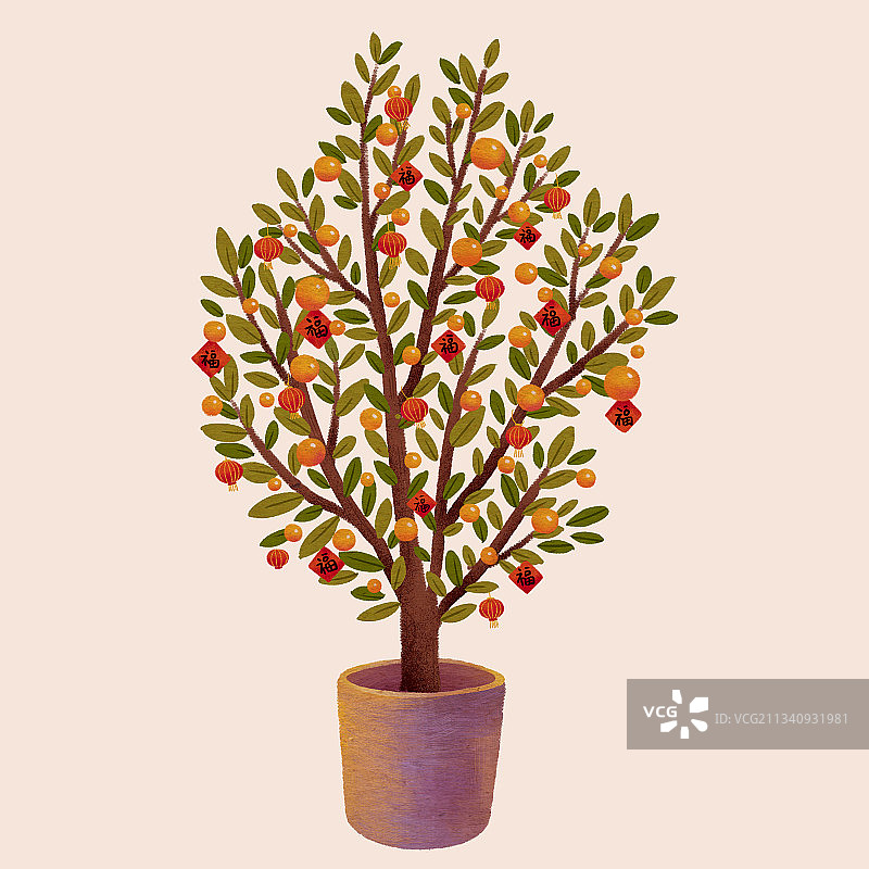 新年桔子树发财树盆栽植物插画图片素材