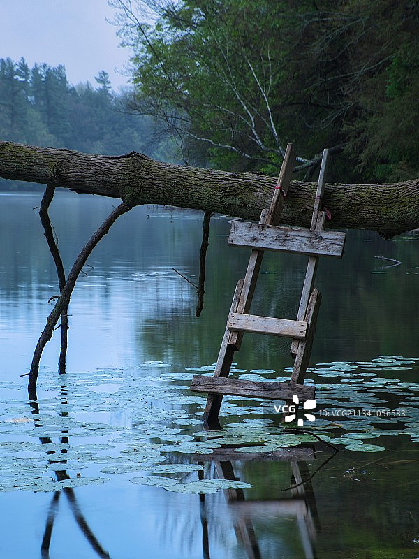 森林中的湖泊风景图片素材