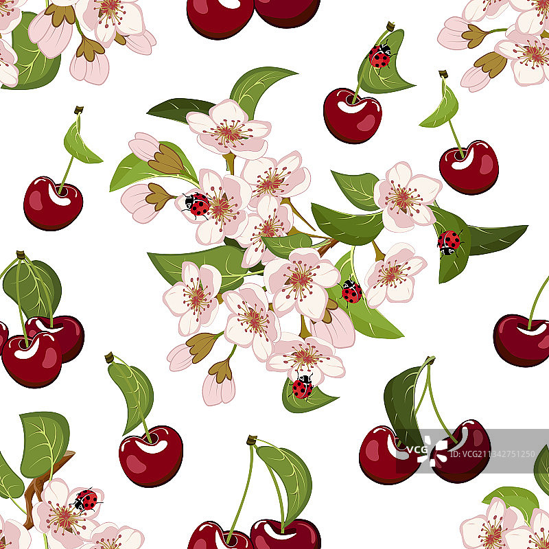 盛开的樱桃和浆果的图案图片素材
