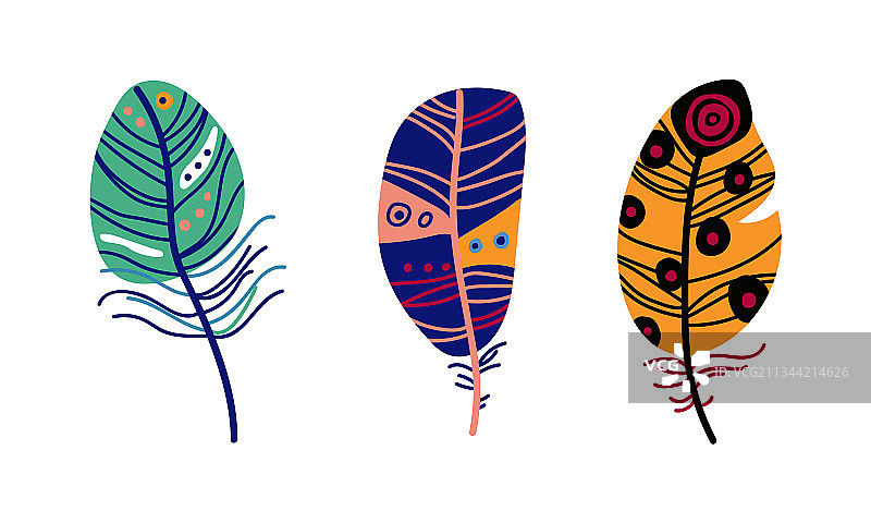 色彩斑斓的羽毛和波西米亚部落的羽毛图片素材