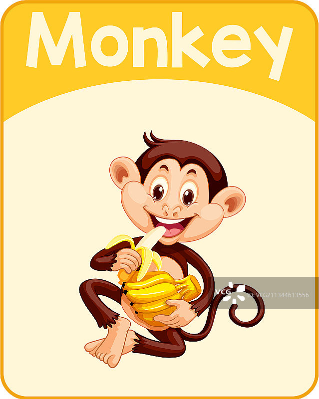 教育英语单词卡猴图片素材