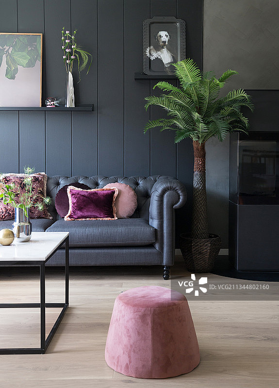 深色的沙发和粉红色的靠垫在深色的墙壁前，在前景坐垫图片素材