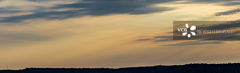 在日落时，低矮的树木剪影，格拉德斯通，密歇根州，美国，美国图片素材