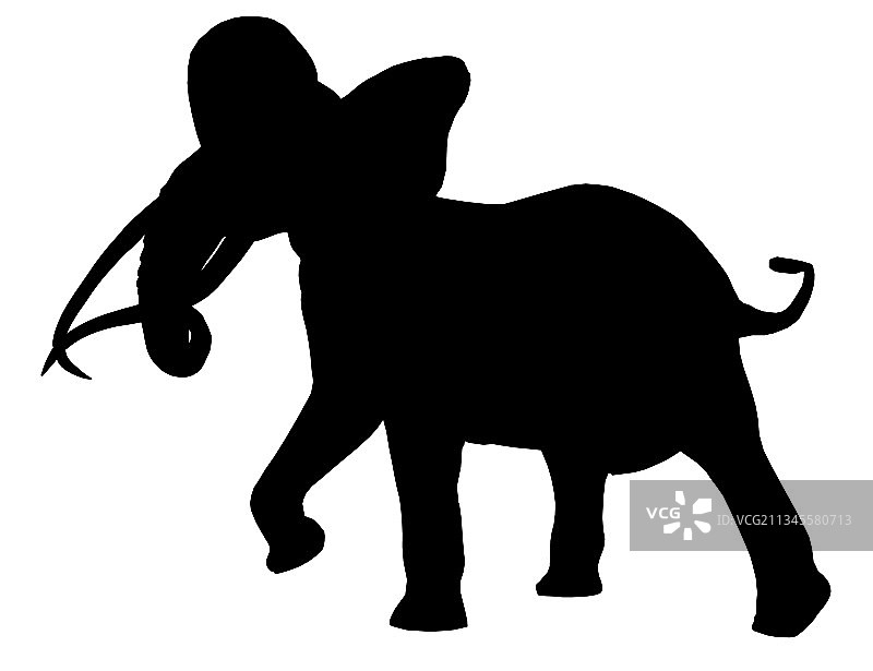 剪影一只行走的大象孤立在图片素材