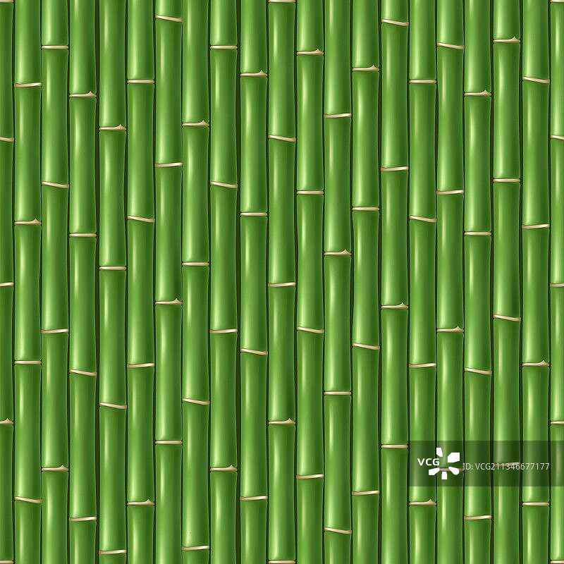 中国绿竹壁纸图片素材