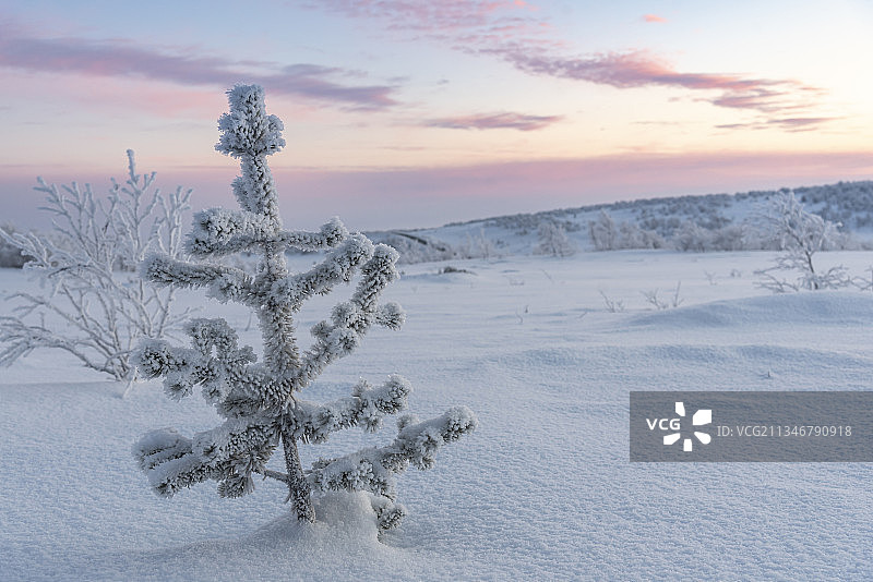 俄罗斯，日落时分，白雪覆盖的田野景色图片素材