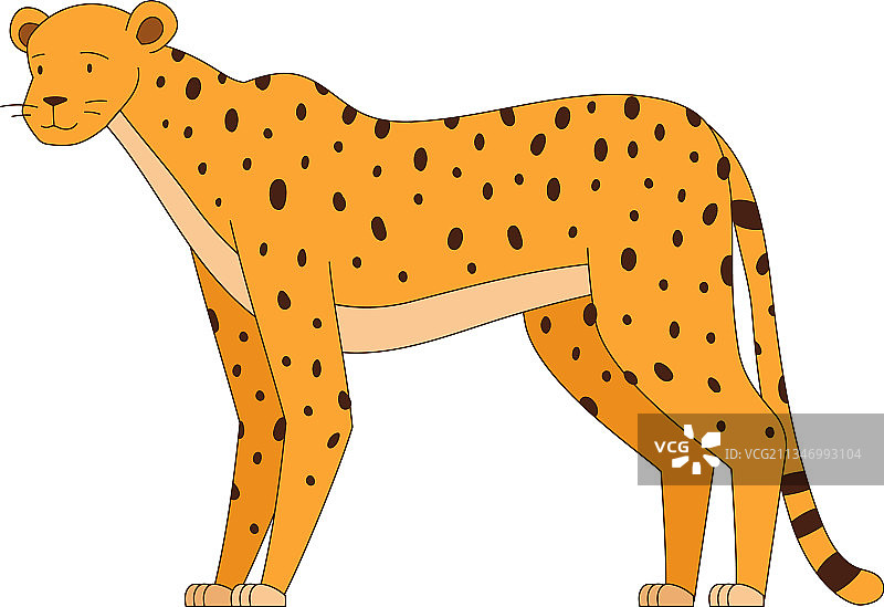斑点猎豹是非洲动物图片素材