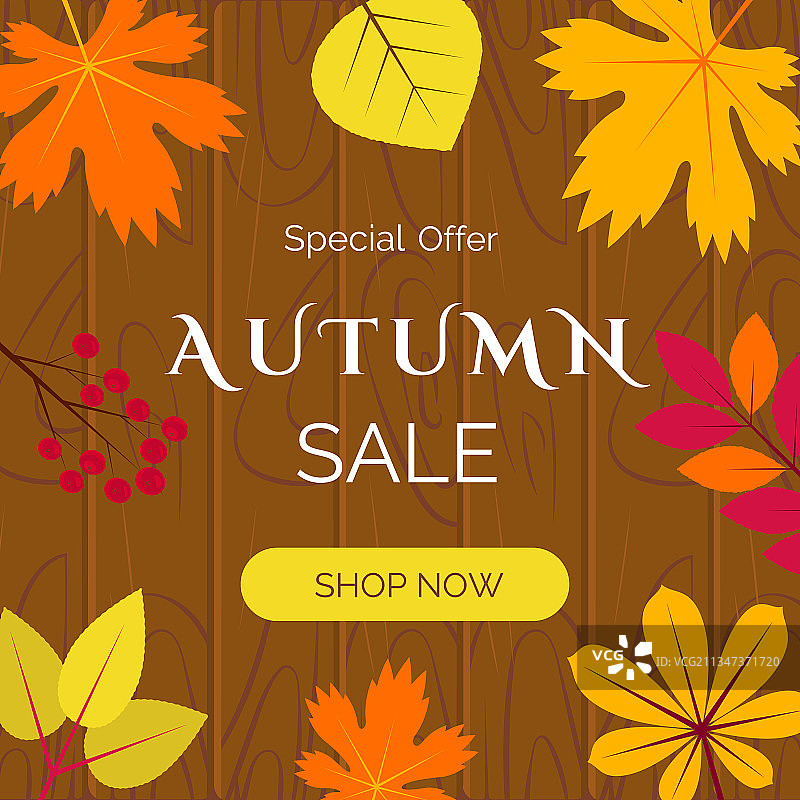 秋天的销售横幅与橙色和黄色的叶子图片素材