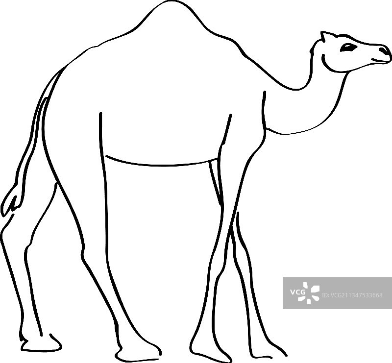 骆驼轮廓图片素材