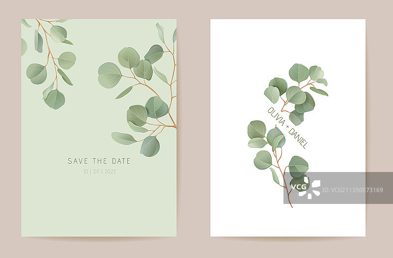 婚礼桉树叶绿枝花图片素材