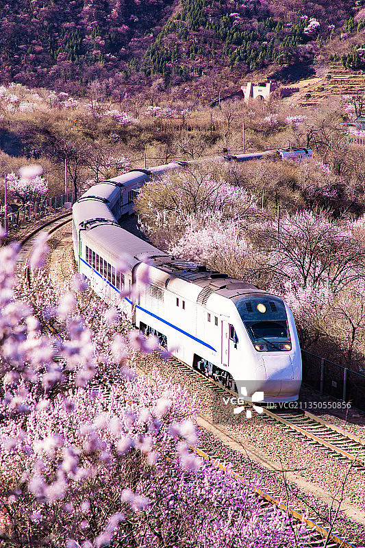 中国和谐号高速列车穿越北京的居庸关长城图片素材