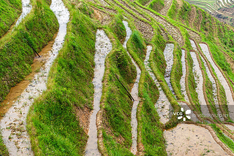 广西龙脊梯田灌溉图片素材