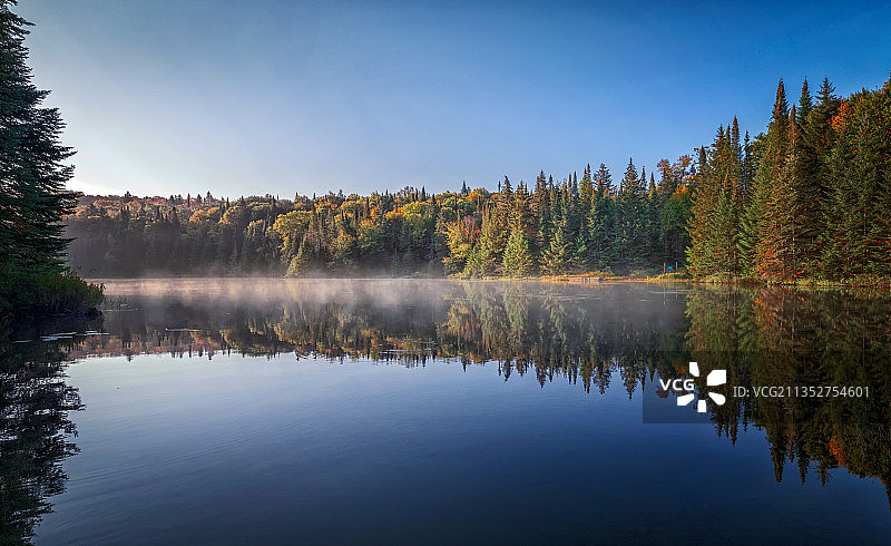 加拿大，森林中的湖泊图片素材
