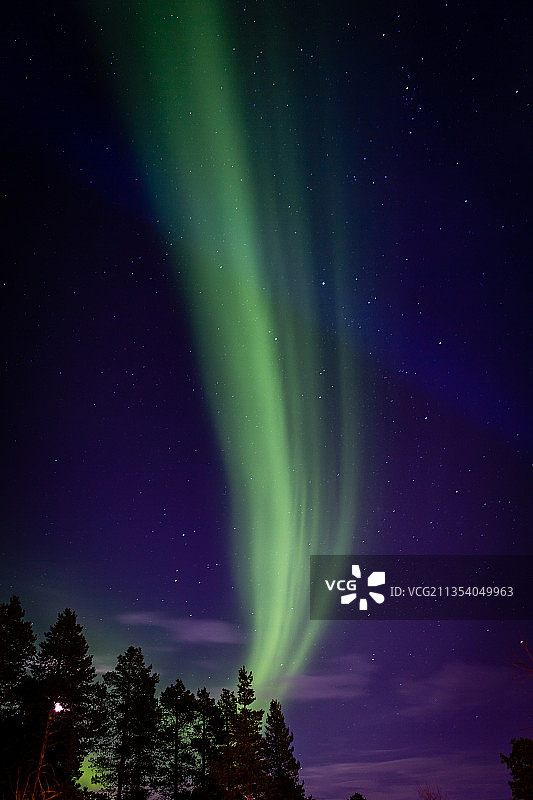 挪威卡拉斯乔克，夜晚树木与天空的低角度视图图片素材