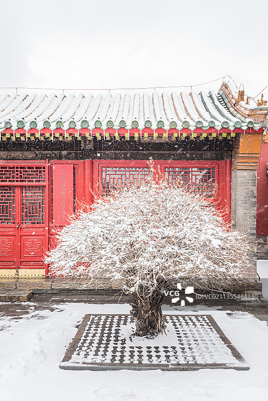 冬季风雪中的中国辽宁省沈阳清故宫的院落建筑图片素材