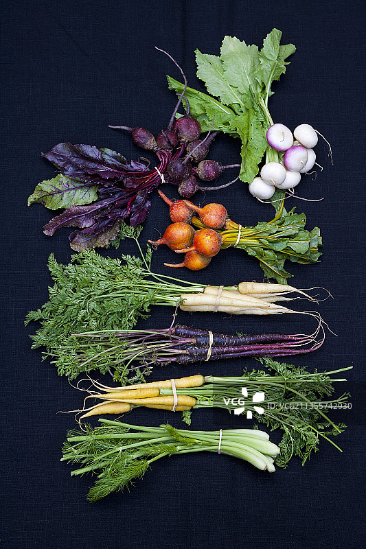 小茴香、胡萝卜、甜菜和萝卜图片素材