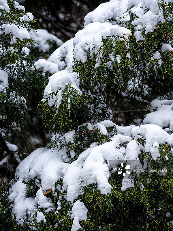 雪中的故宫图片素材