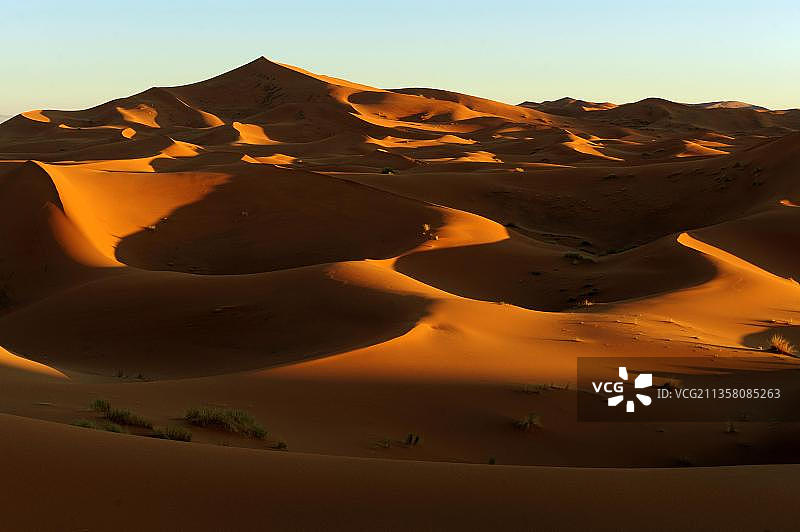 摩洛哥，Erg Chebbi沙漠，非洲的沙丘图片素材