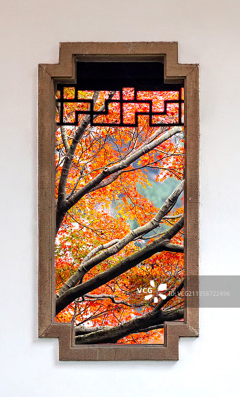 杭州西湖曲院风荷景区红枫图片素材