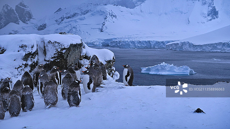 南极冰雪覆盖的风景图片素材