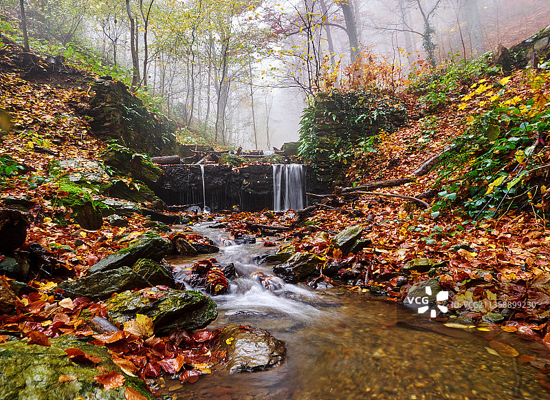 克罗地亚萨格勒布秋天森林中溪流的景色图片素材