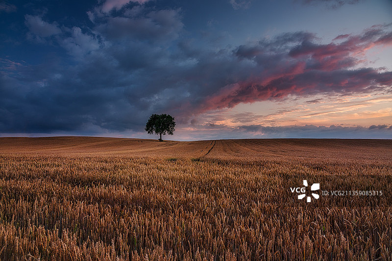 波兰，日落时农田对着天空的风景图片素材