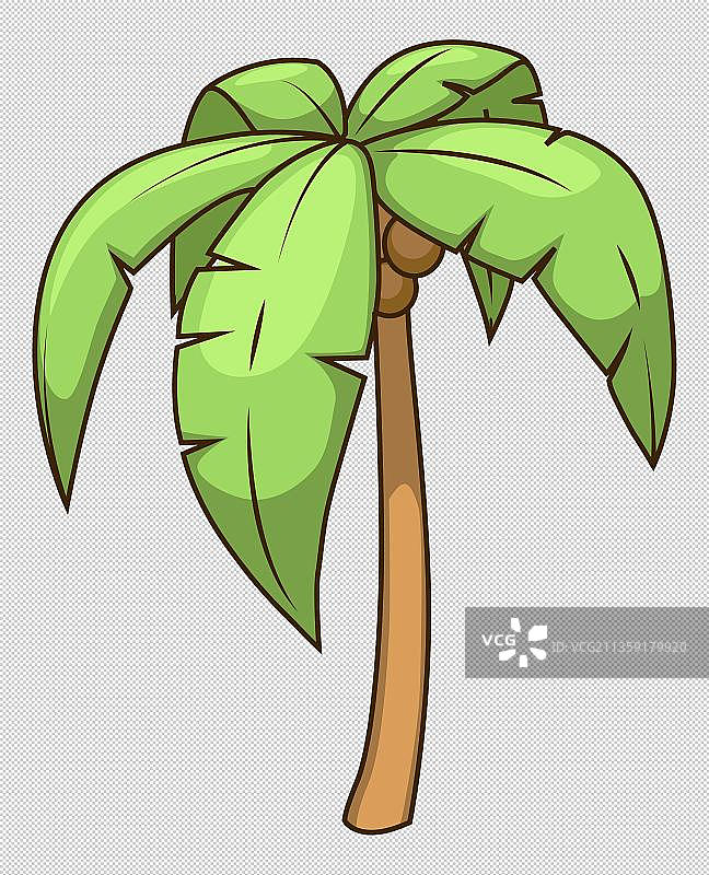 夏日绿色椰子树图片素材
