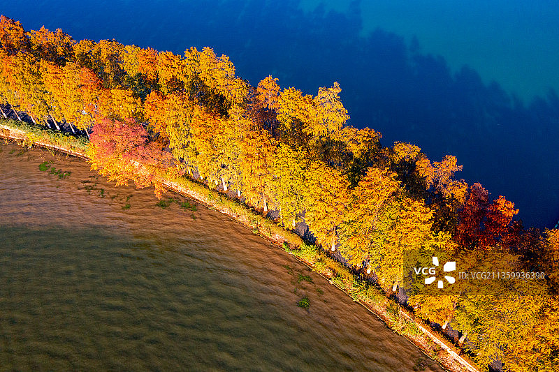 航拍武汉东湖景区秋色图片素材