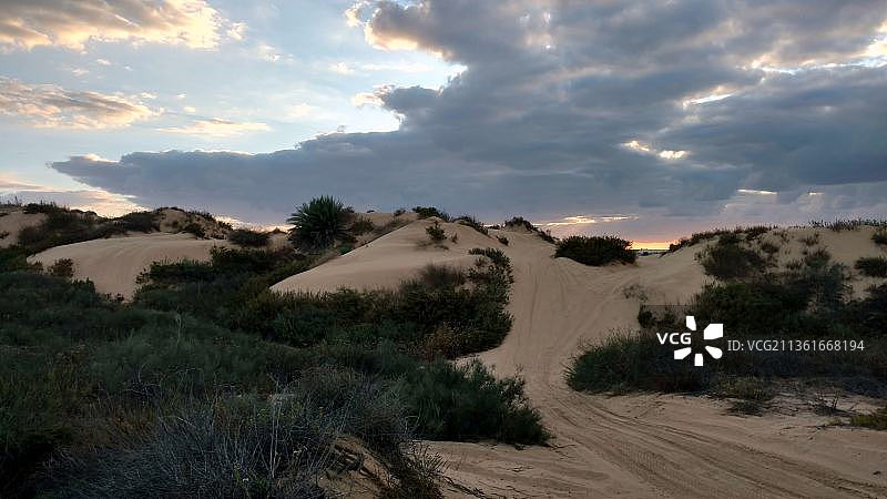 《日落之路》，以色列沙漠的风景图片素材