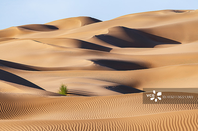 内蒙古库布齐沙漠自然景观图片素材