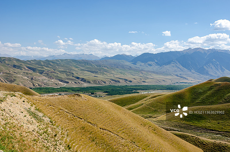 晴朗天气的新疆伊犁草原图片素材