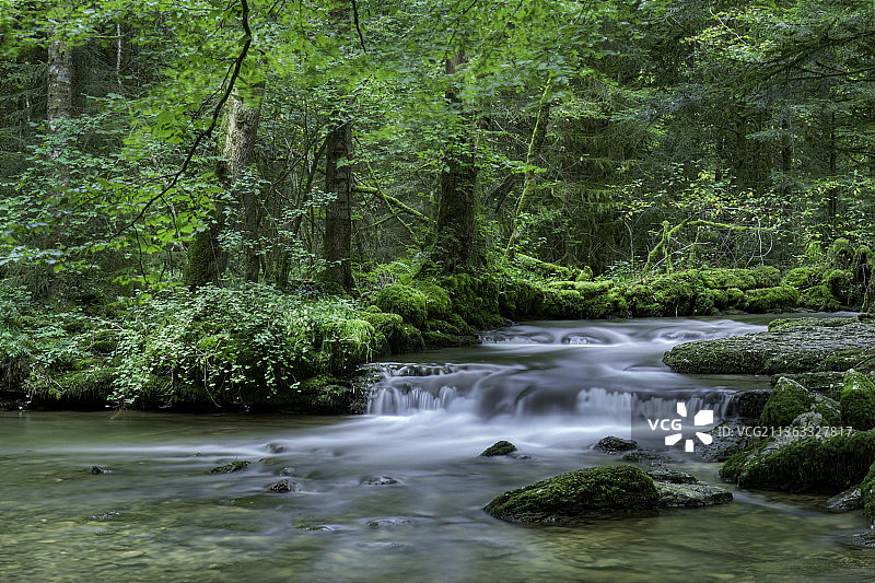 法国弗拉索瓦，森林中河流流动的风景图片素材