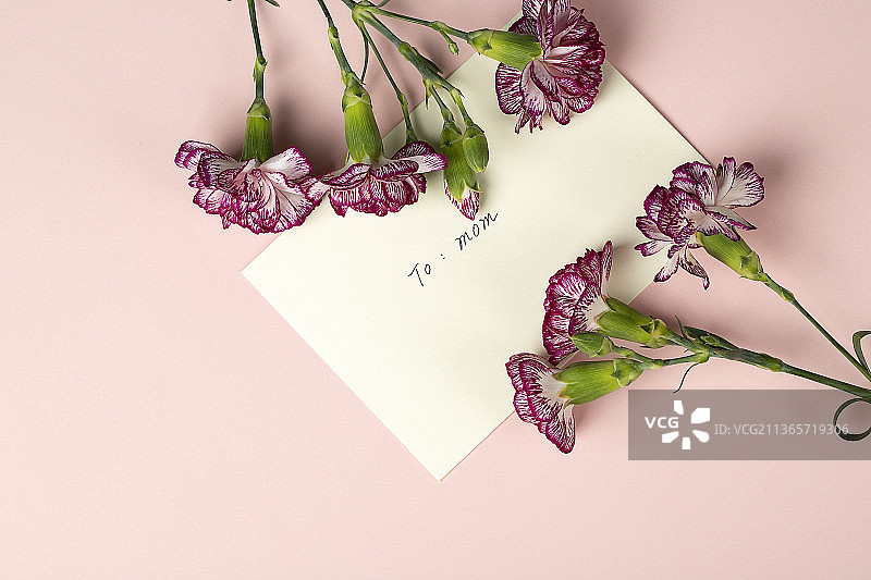 粉色康乃馨鲜花与信封图片素材