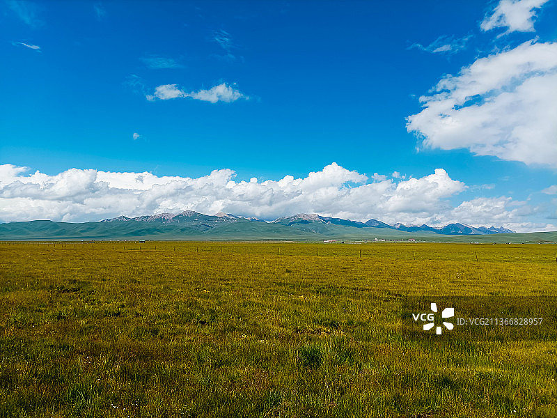 2021年7月27日，四川阿坝若尔盖大草原花湖风景区，蓝天白云下的湿地草原。图片素材