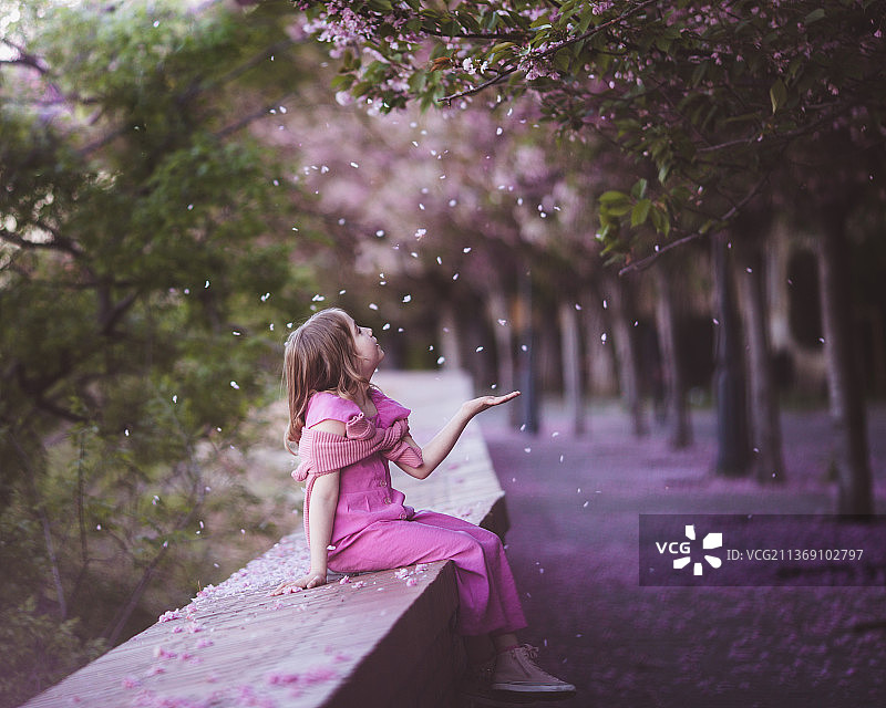 女孩坐在樱花公园，花瓣从树上飘落图片素材