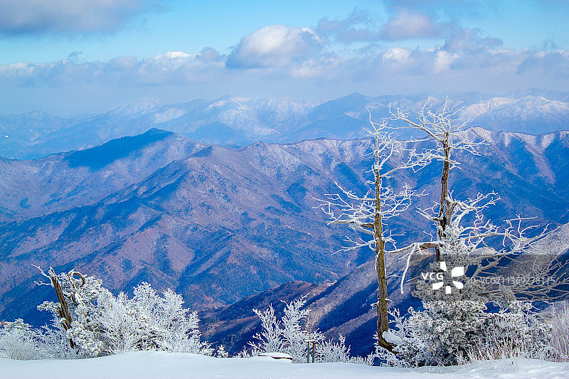 Deogyusan Vista，韩国Deogyusan国家公园，雪山顶着天空的风景图片素材