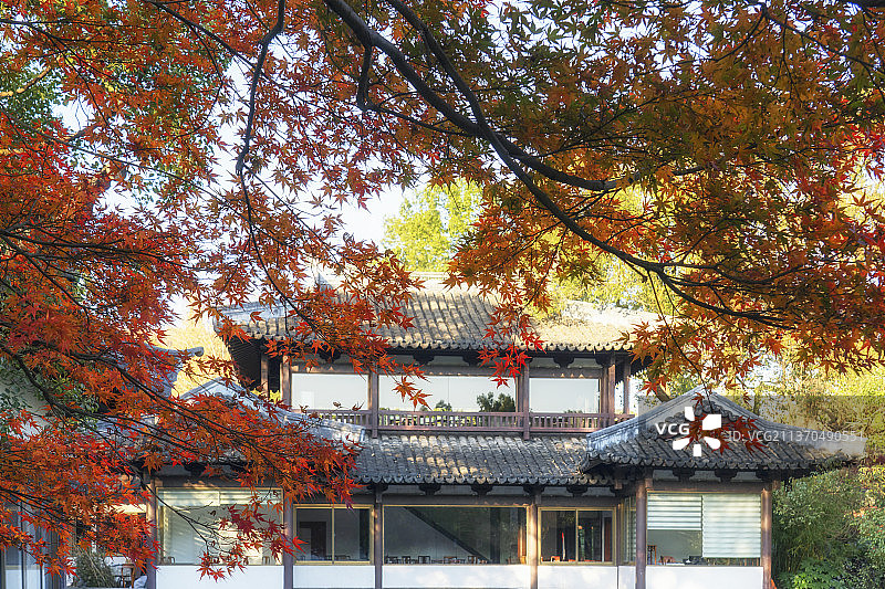 秋天的杭州西湖十景曲院风荷景观图片素材