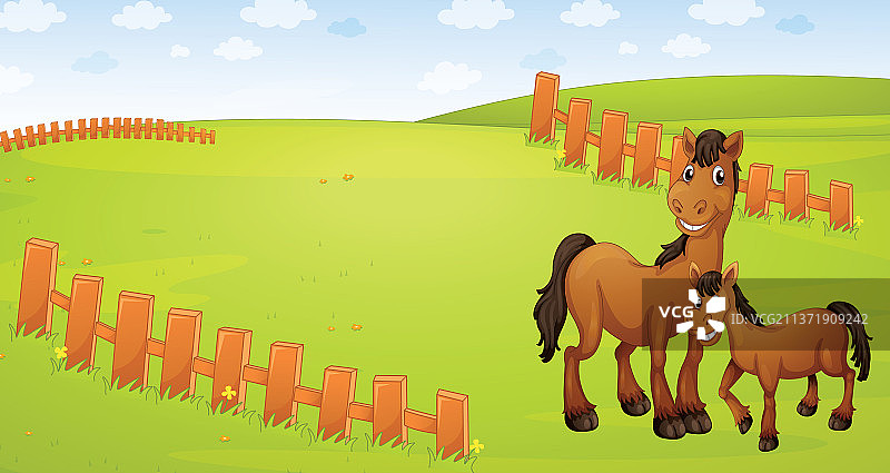 马是站在草地上的家畜图片素材