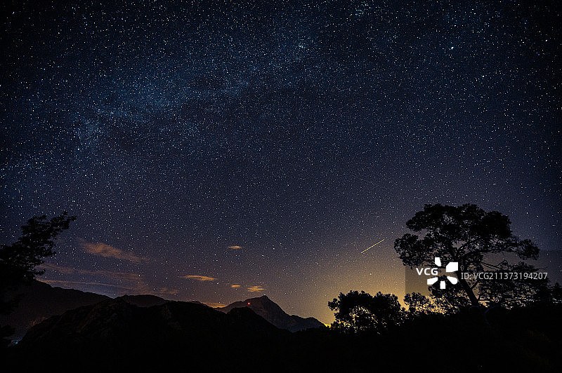 吕西亚星系，土耳其，夜晚在星空下的低角度树木剪影图片素材