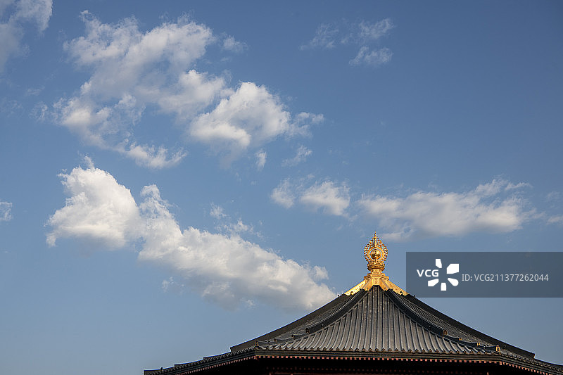 旅游代理商蓝天白云下的隋唐洛阳城遗址牡丹盛开图片素材
